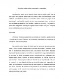 Derechos reales sobre cosa propia y cosa ajena