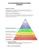 Las 14 necesidades básicas de Virginia Henderson