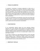 Ensayo redes de trasporte