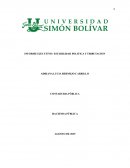 Informe ejecutivo estabilidad política y tributación