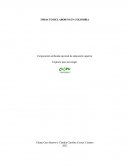 IMPACTO DEL ABORTO EN COLOMBIA