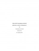 Antropologia sociocultural