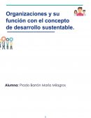 Organización y su función con el concepto de desarrollo sustentable