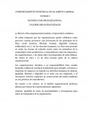 PENSAMIENTO ANALITICO. VALORES ORGANIZACIONALES