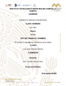 Investigación Importancia de las Redes