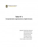 Taller N° 4 Comportamiento organizacional y Capital humano
