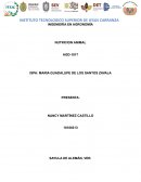 NUTRICION ANIMAL