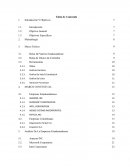 ANÁLISIS FINANCIERO DE LA BOLSA DE VALORES COLOMBIANA Y ESTADOUNIDENSE