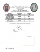 PRACTICA 8 CONSERVACION DE LA ENERGIA