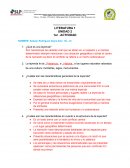 Literatura ¿Qué es una leyenda?