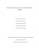 Impacto del covid - 19 en las microempresas de Colombia