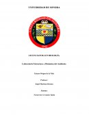 Ensayo Origen de la Vida