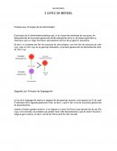 MUTACIONES 3 LEYES DE MENDEL