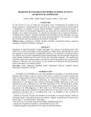 Regulación de la biosíntesis del almidón en plantas terrestres: perspectivas de modificación