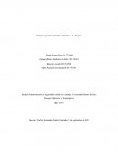 Empresa gestión y medio ambiente s.A.s ibague