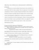 PRINCIPALES CARACTERÍSTICAS DE LA ORGANIZACIÓN Y SU IMPORTANCIA