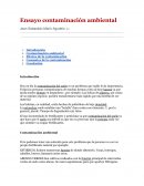 Ensayo contaminación ambiental