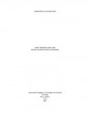 Adaptación a la sociedad macro o micro