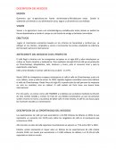 DESCRIPCION DEL NEGOCIO. Café