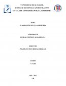 PLANEACIÓN DE UNA AUDITORIA