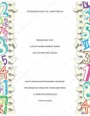 Estándar básico de competencia