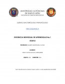 Evidencia Individual 1 Fisicoquimica