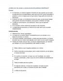 ¿Cuáles son las causas y consecuencias del problema identificado?