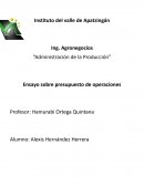 Ensayo sobre presupuesto de operaciones