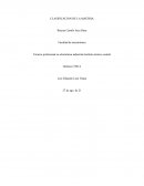 CLASIFICACION DE LA MATERIA