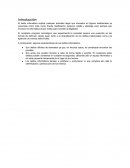 Delitos Informaticos