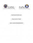 Ensayo de película Arrugas