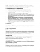 ¿Qué es una plataforma?