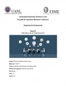 Tarea #1 “Naturaleza de las Organizaciones”