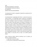 Los problemas de la nutrición, su diagnóstico y tratamiento en el ganado bovino en la práctica profesional