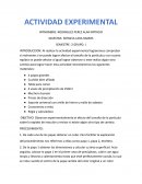 Actividad experimental. Efecto del tamaño de la partícula sobre la rapidez de reacción