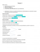 Importancia de la auditoria