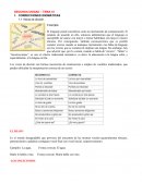 Tema N10 Comunicacion Oral y Escrita