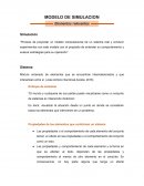 Elementos relevantes de simulación