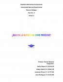 Nutricion. Clasificación de los alimentos