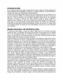 VISITA A UN MUSEO. MUSEO NACIONAL DE ANTROPOLOGIA