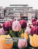 Equipos para el manejo de materiales