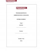 INFORME ACADEMICO