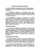 Laboratorios primarios y secundarios