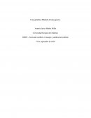 Teoría del conflicto. Concepto y análisis del conflicto Irak-Estados Unidos