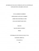 DETERMINACION DE LOS FACTORES QUE AFECTAN LOS HUMEDALES GENERADOS POR EL DESARROLLO HUMANO