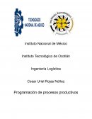 Programación de procesos productivos