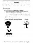 Sistemas de representacion