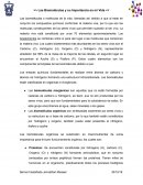 Las Biomoléculas y su Importancia en mi Vida