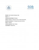 Histología, el origen de la vida, niveles estructurales