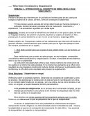 Niñez Clase 2 Socialización y Singularización